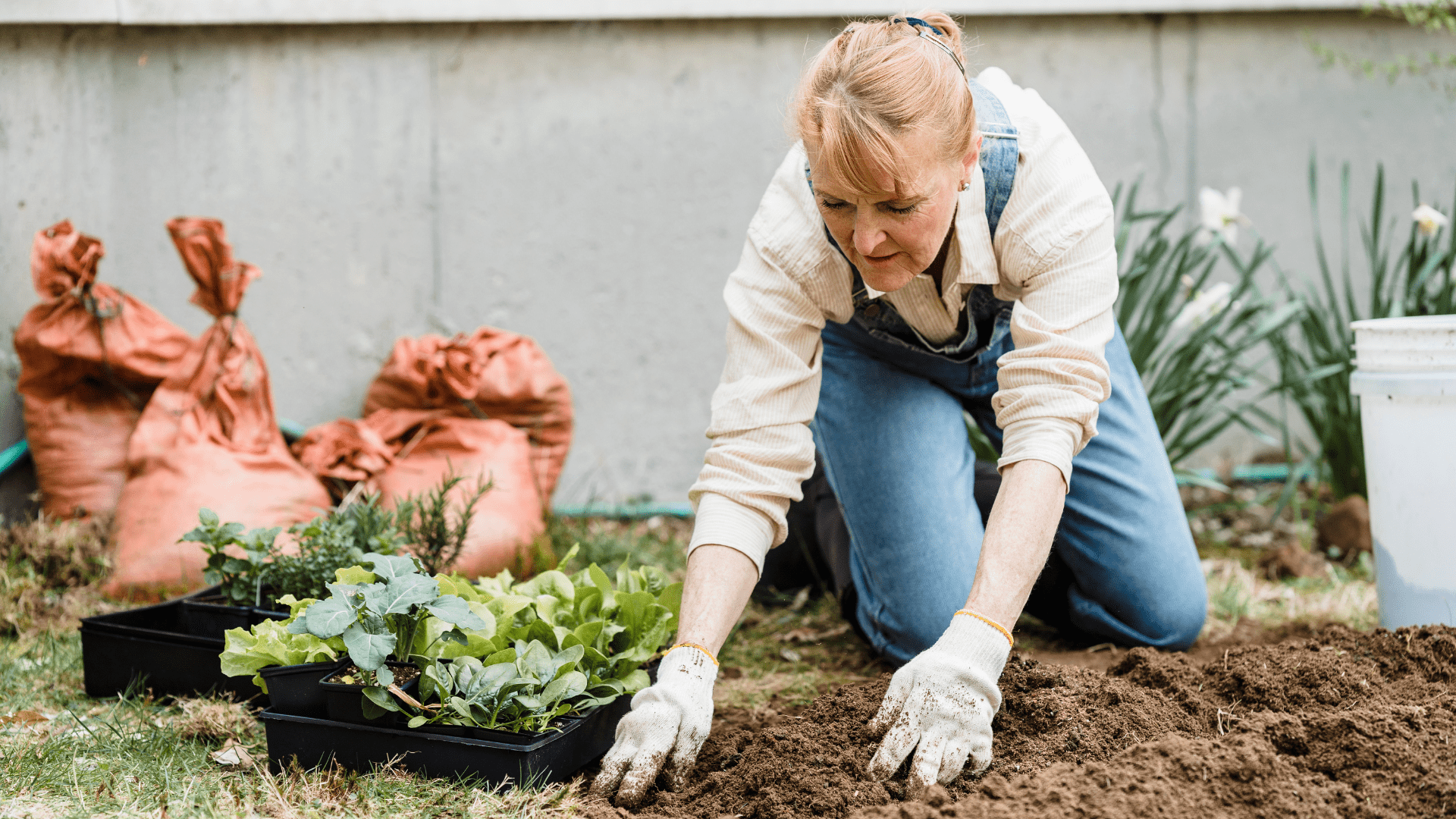 Gardening Experience